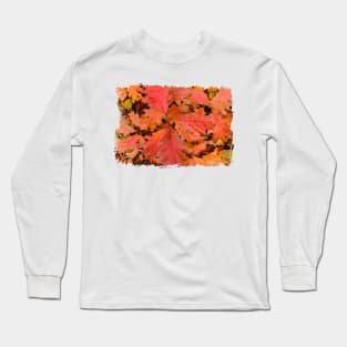 Colorful Autumn Oak leaves Long Sleeve T-Shirt